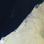 19900828_TM_Dubai_k1.jpg 19900828_TM_Dubai_k1.jpg